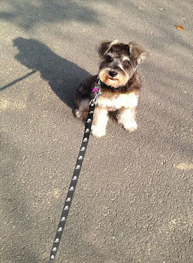 Pups&Pets طقم طوق ومقود من النايلون مطبوع عليه شكل مخلب من Pups&Pets، مقاس 10 مم، مزود بإبزيم سريع الفتح وطوق يسمح بمرور الهواء، مثالي للجراء والكلاب والقطط (أسود، صغير جدًا) - Image 4